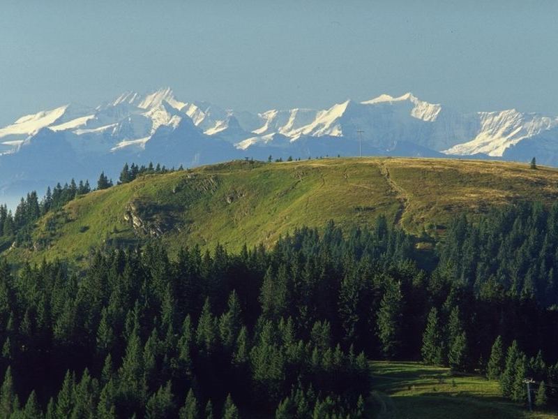 Schwarzwaldberge mit Alpensicht in Bernau