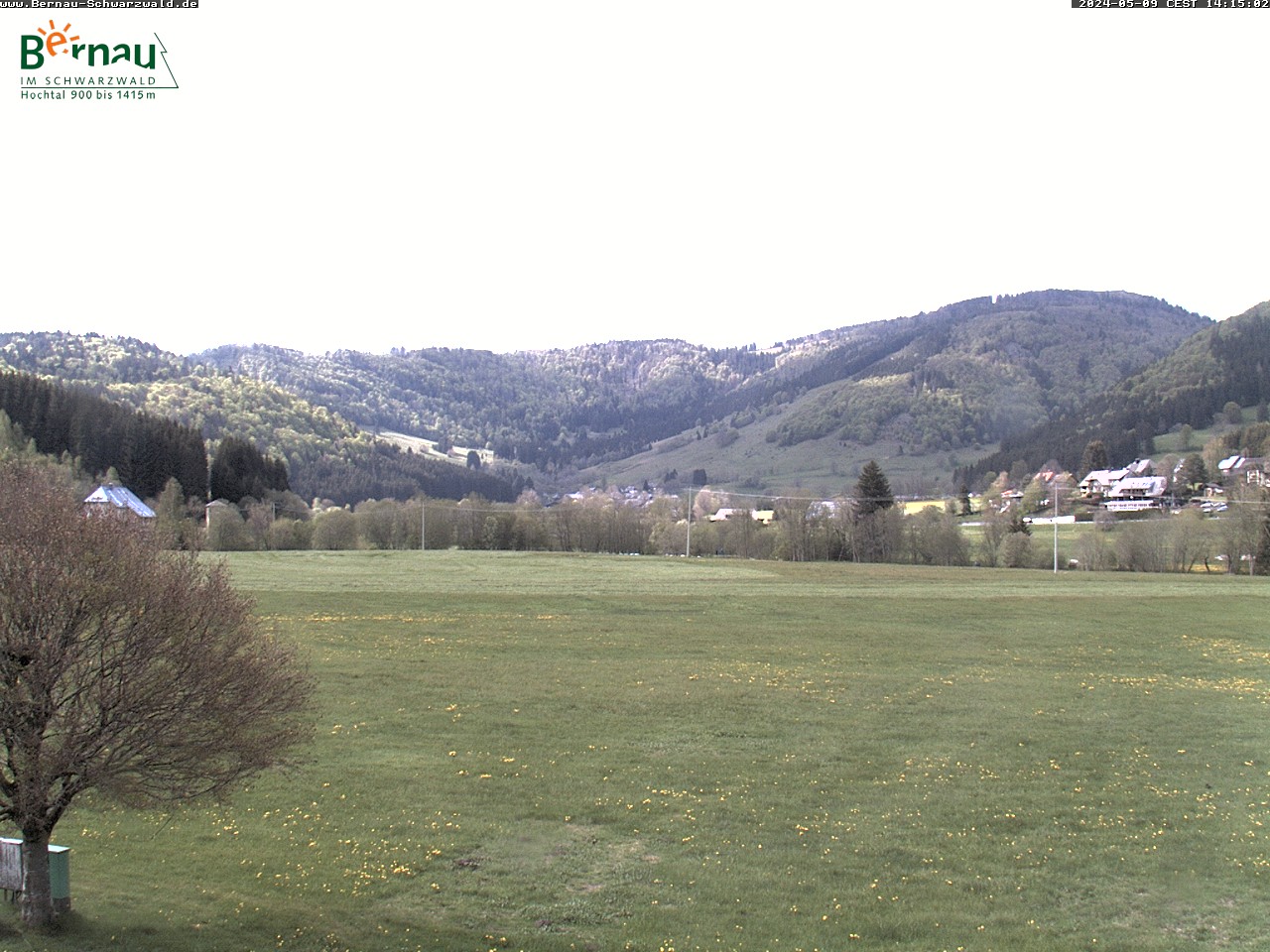 Webcam Bernau im Schwarzwald
